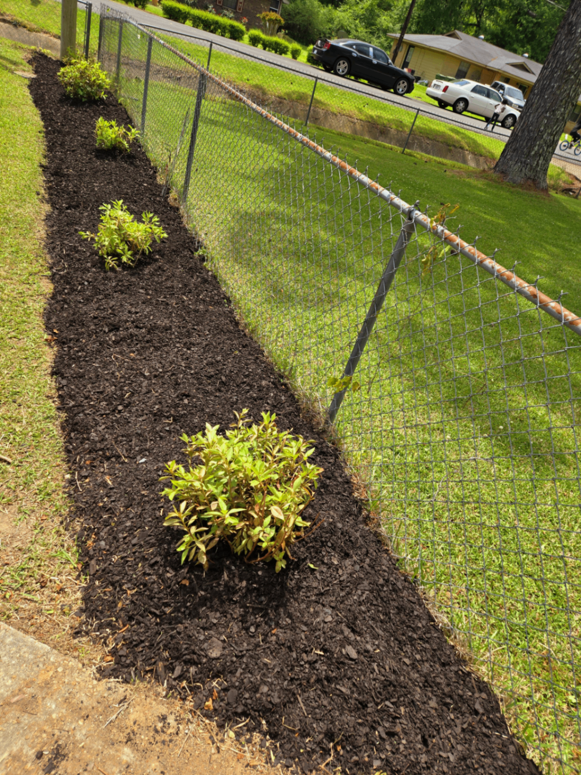Planting & Mulch Beds